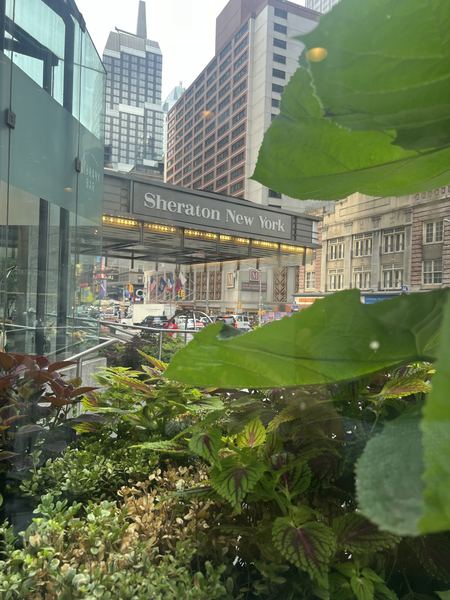 New York