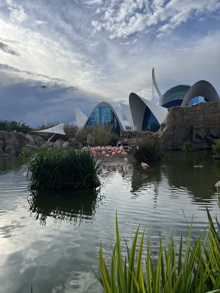 Valencia